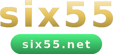 six55 logo